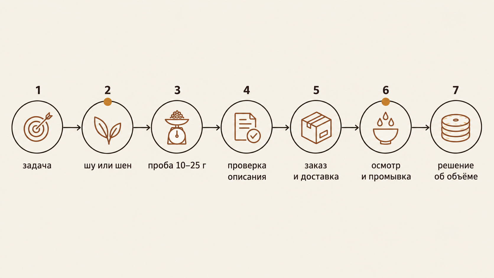 Инфографика: семь шагов первой покупки пуэра с доставкой от задачи до решения об объёме с указанием типичных ошибок