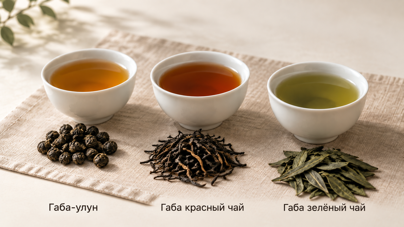 Цвет настоя габа-чая на примере трёх пиал: золотистый, красно-янтарный и оливковый демонстрируют, что оттенок зависит от основы — улун, красный или зелёный чай