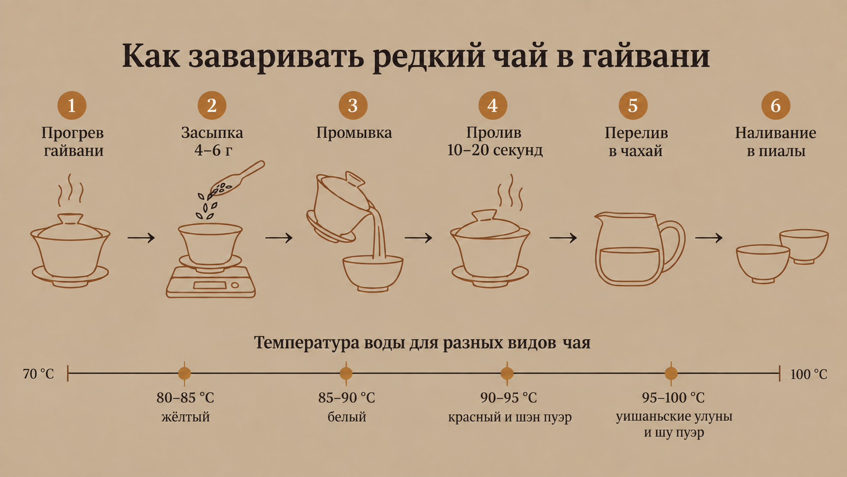 Пошаговая схема проливного заваривания редкого чая в гайвани: от прогрева посуды до разлива настоя по пиалам с температурной шкалой