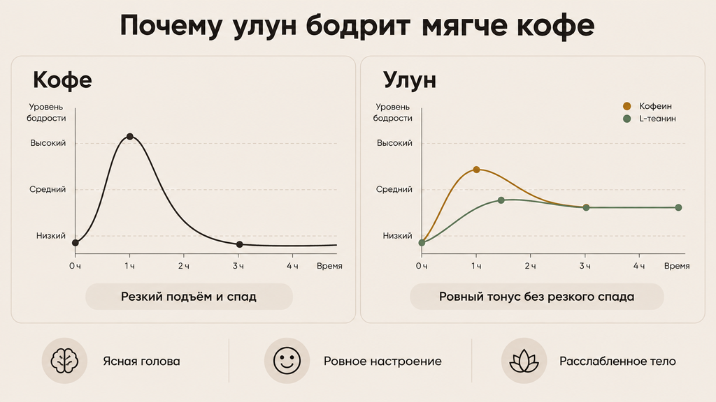 Схема действия улуна: сочетание кофеина и L-теанина обеспечивает спокойную бодрость без резкого спада. Сравнение эффекта с кофе.