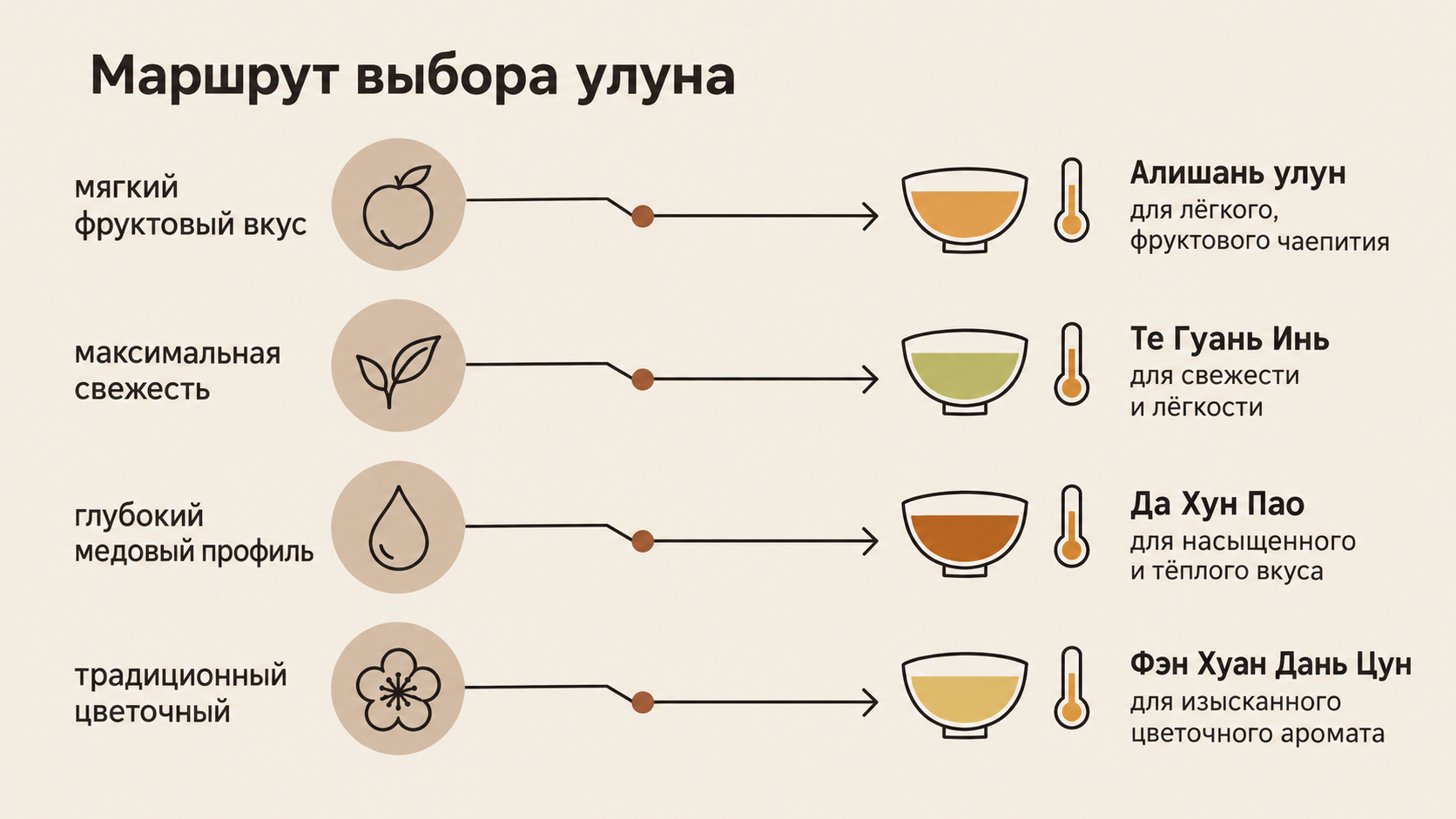 Схема выбора улуна для новичка: пошаговый маршрут с ветвлениями по вкусовым профилям и рекомендациями под разные сценарии чаепития