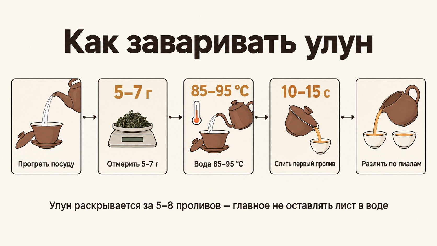 Пошаговая схема заваривания улуна от прогрева посуды до восьмого пролива с указанием температуры воды, времени настаивания и пропорций листьев