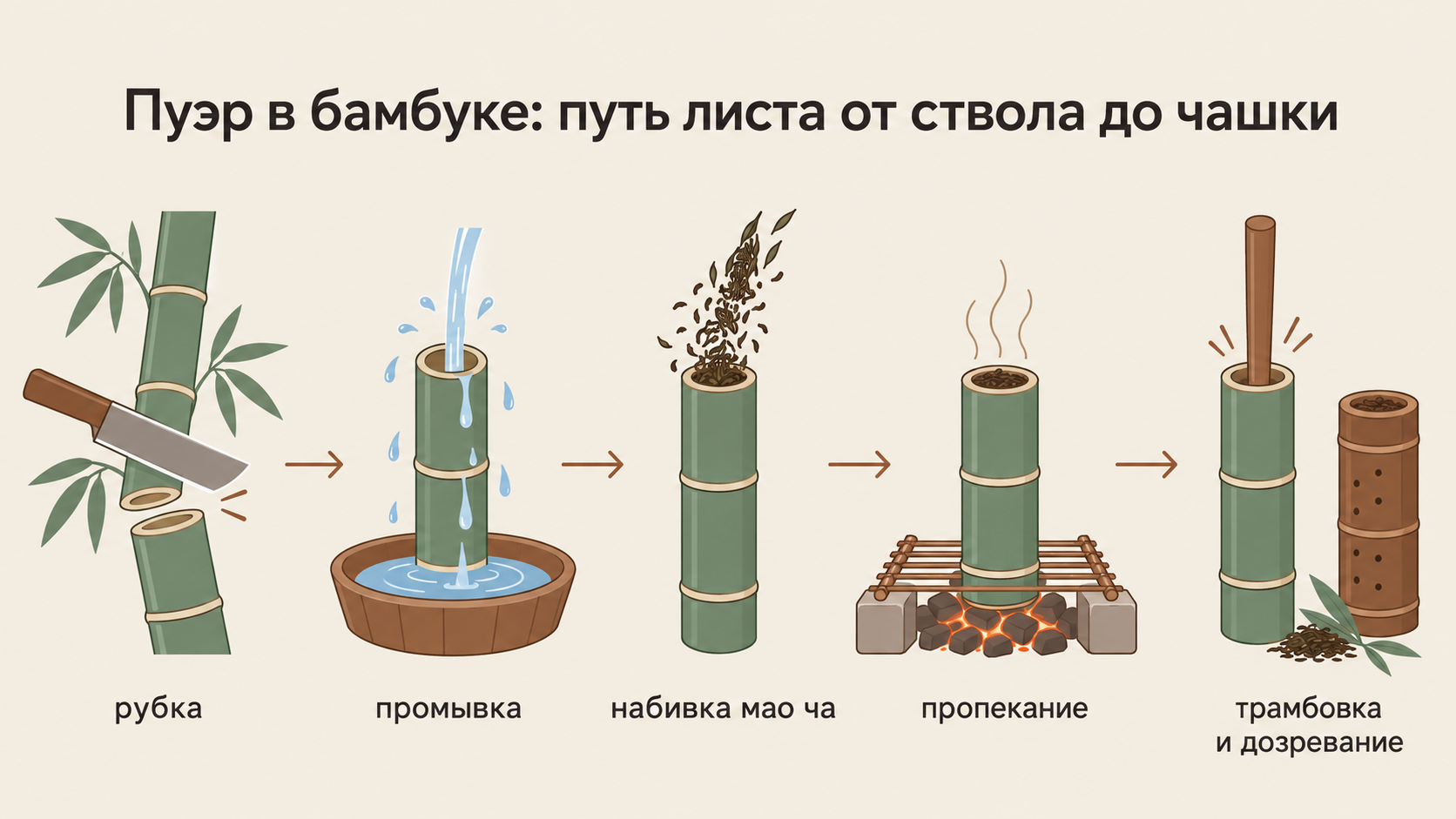 Линейная схема пяти этапов производства пуэра в бамбуковом стволе