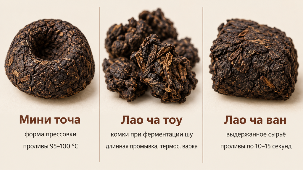 Три формата пуэра: сяоя в форме гнезда, лао ча тоу комками, лао ча ван выдержанным сырьём. Сравнительная инфографика с пояснениями происхождения и заваривания на светлом фоне.
