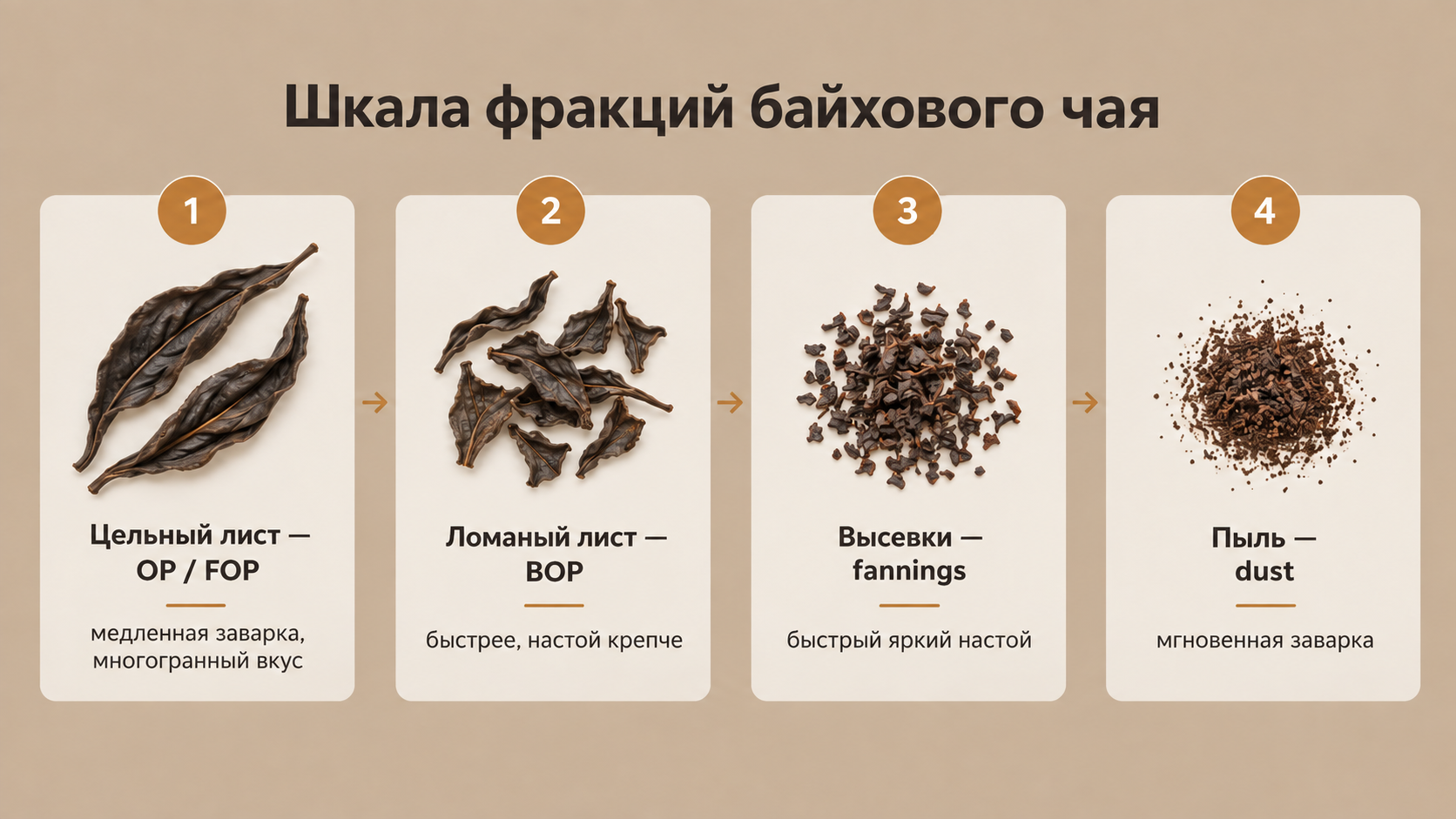 Шкала фракций байхового чая: схема четырёх типов листьев от цельного до пыли с расшифровкой маркировки и советами по завариванию