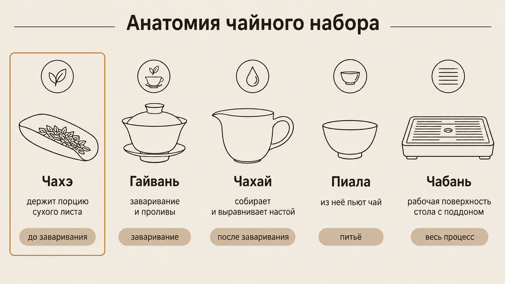 Инфографика «Анатомия чайного набора»: чахэ, гайвань, чахай, пиала и чабань с описанием функций и этапов чайной церемонии