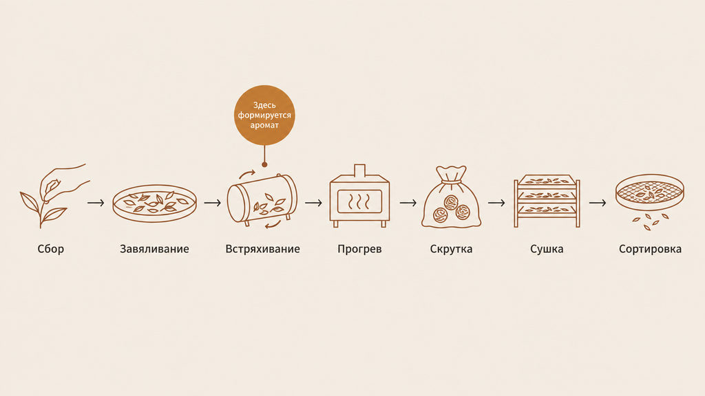 Линейная схема семи этапов производства чая Те Гуань Инь от свежего листа до готовых «жемчужин» с акцентом на стадию формирования аромата и вкуса.