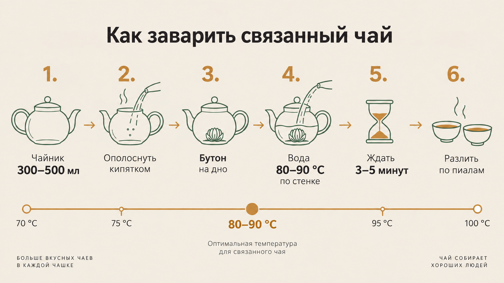 Пошаговая схема заваривания связанного чая: 6 этапов подготовки с температурой 80–90 °C и временем раскрытия бутона 3–5 минут