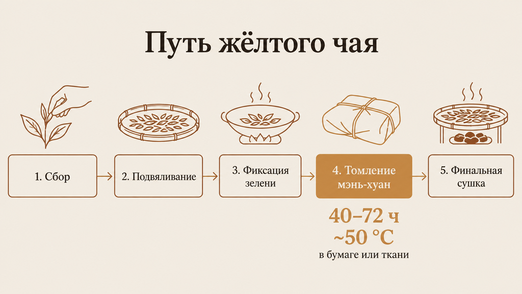 Схема производства жёлтого чая: пять этапов от сбора до сушки с выделенным блоком томления мэнь-хуан